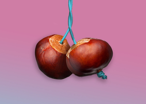 featured image thumbnail for post Conkers for Conkers
