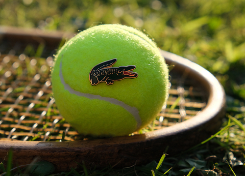 featured image thumbnail for post Novak Djokovic Wimbledon Titles